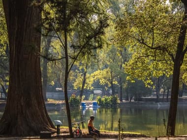 Recorridos guiados por el Bosque de Chapultepec