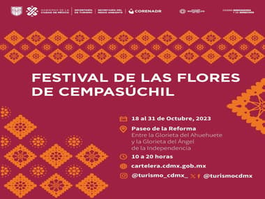 Festival de Flores de Cempasúchil