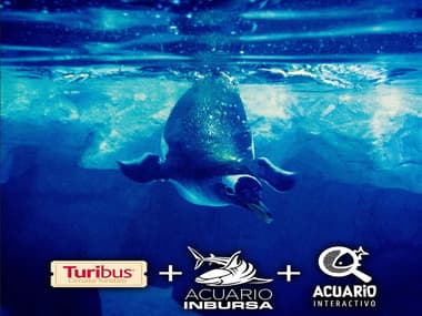 Acuario Inbursa