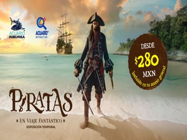 Piratas: Un viaje fantástico