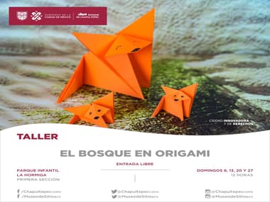 El Bosque en Origami