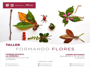 Formando flores