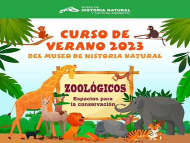 Curso de verano en el Museo de Historia Natural