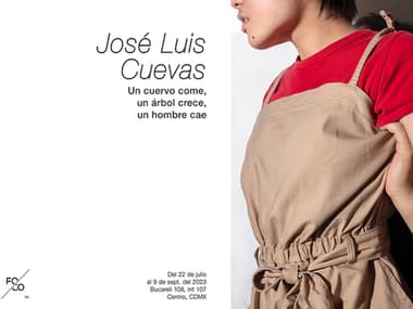 José Luis Cuevas. Un cuervo come, un árbol crece, un hombre cae