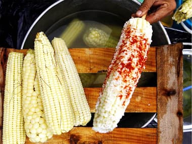 Feria Nacional del Elote