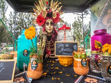 Fiesta Temática en Xochimilco