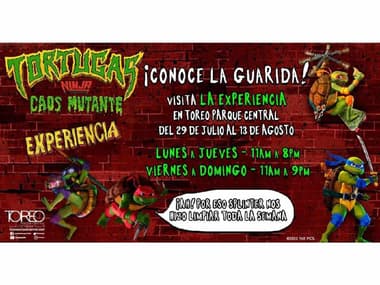 Experiencia de las Tortugas Ninja