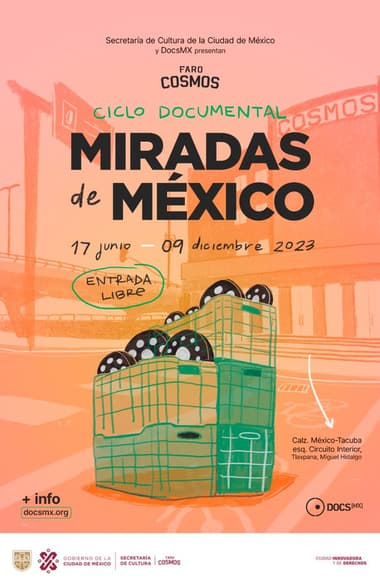 Miradas de México